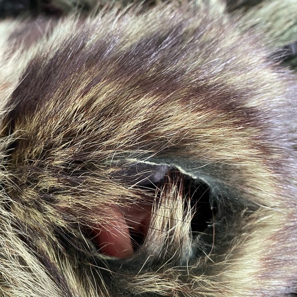 Green Raccoon Fur and Leather Coat - 70’s Penny Lane - Picture 3 of 4